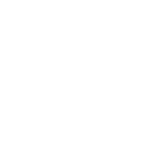icone VUE.JS