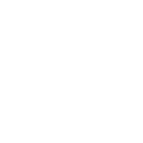 icone PYTHON