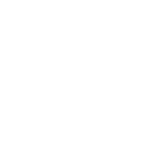 icone PHP