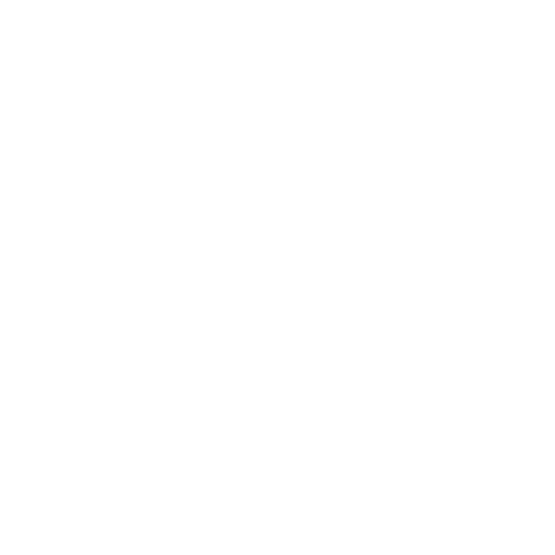 icone VBS