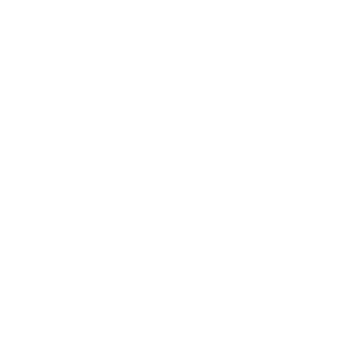 icone SIX SIGMA